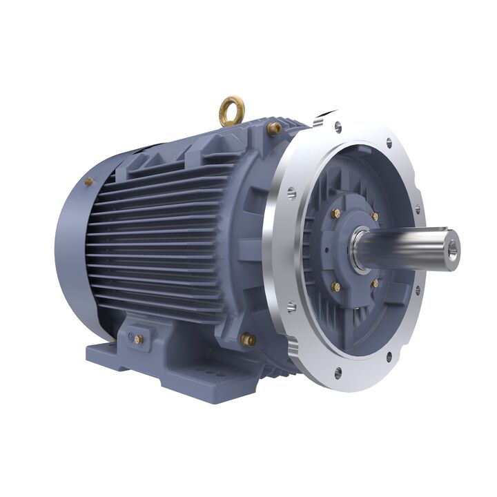Cast Iron Motor, 40 HP, 3 Ph, 50 Hz, 400 V, 1000 RPM, 225M Frame, TEFC