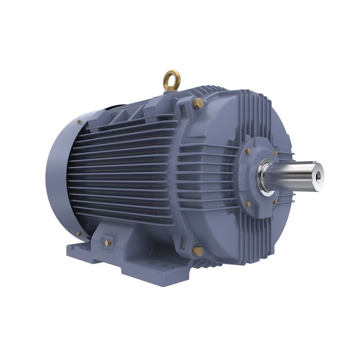 Cast Iron Motor, 100 HP, 3 Ph, 50 Hz, 400 V, 1500 RPM, 280S Frame, TEFC