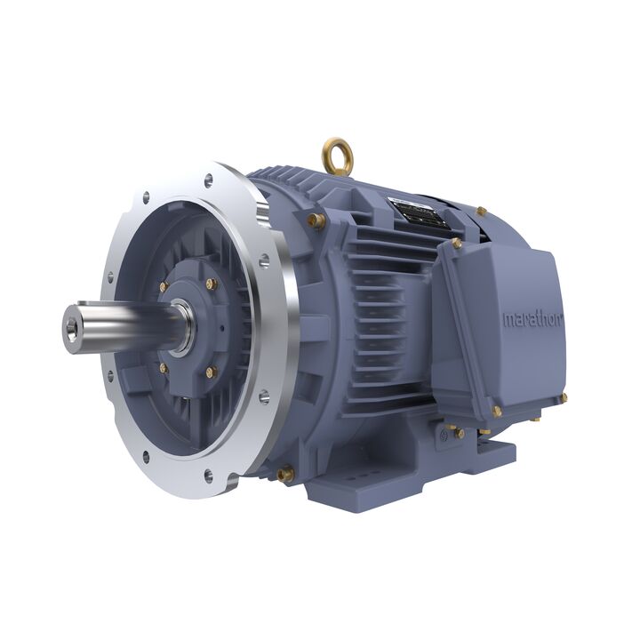 Cast Iron Motor, 40 HP, 3 Ph, 50 Hz, 400 V, 1000 RPM, 225M Frame, TEFC