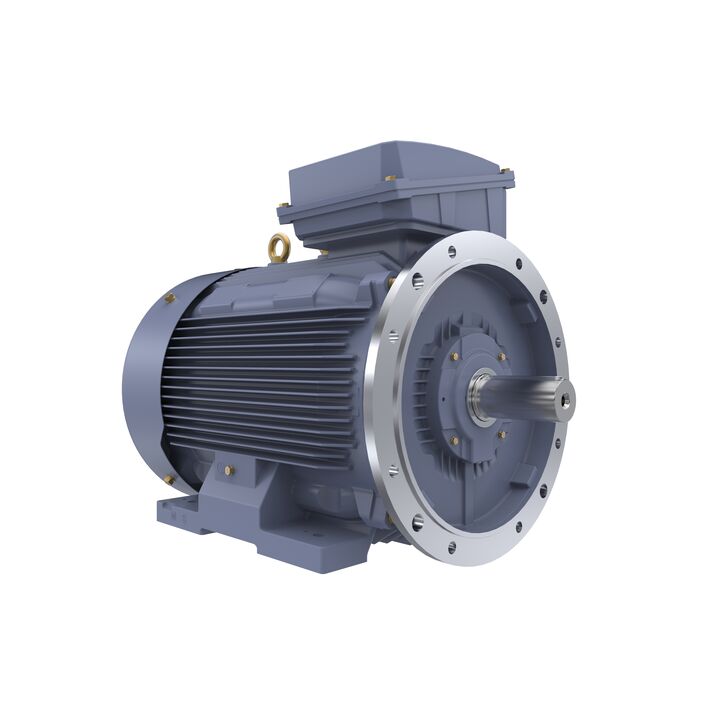 Cast Iron Motor, 150 HP, 3 Ph, 50 Hz, 400 V, 1500 RPM, 315S Frame, TEFC