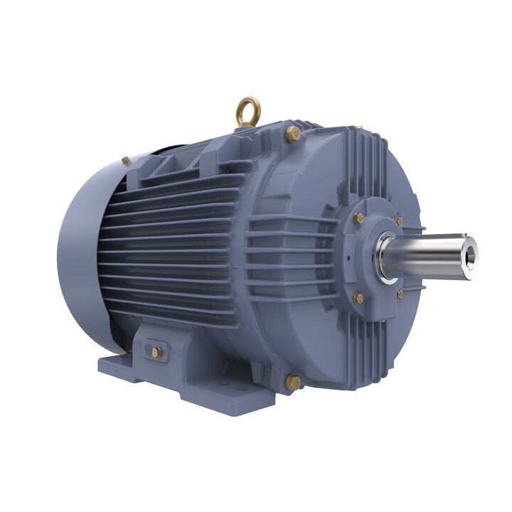 Cast Iron Motor, 25 HP, 3 Ph, 50 Hz, 400 V, 1000 RPM, 200L Frame, TEFC