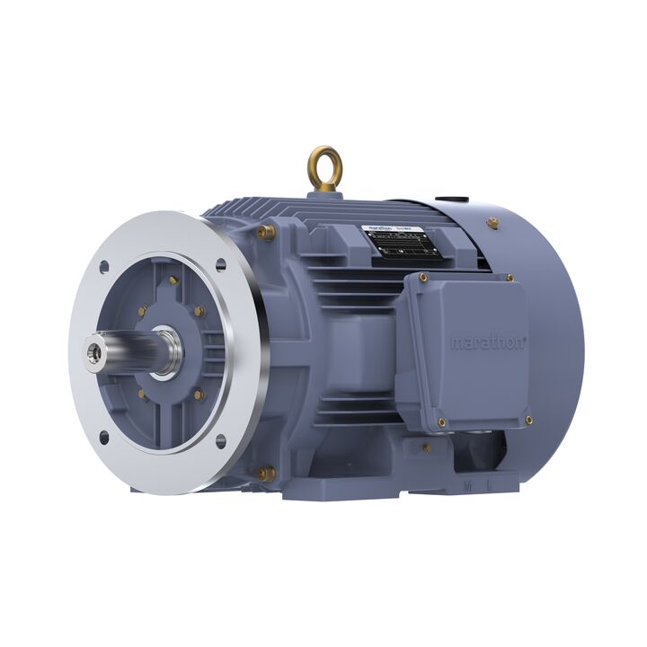 Cast Iron Motor, 15 HP, 3 Ph, 50 Hz, 400 V, 750 RPM, 180L Frame, TEFC
