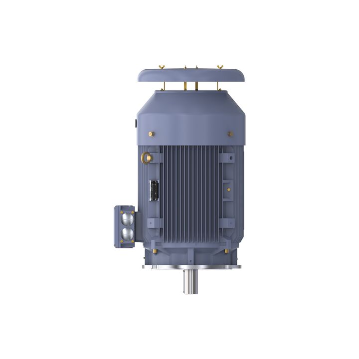 Cast Iron Motor, 60 HP, 3 Ph, 50 Hz, 400 V, 750 RPM, 280M Frame, TEFC