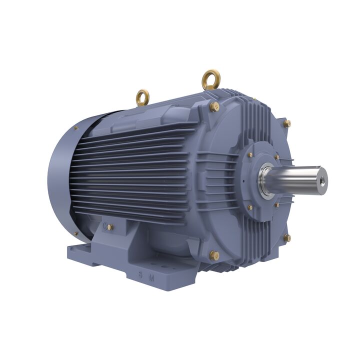 Cast Iron Motor, 75 HP, 3 Ph, 50 Hz, 400 V, 750 RPM, 315S Frame, TEFC