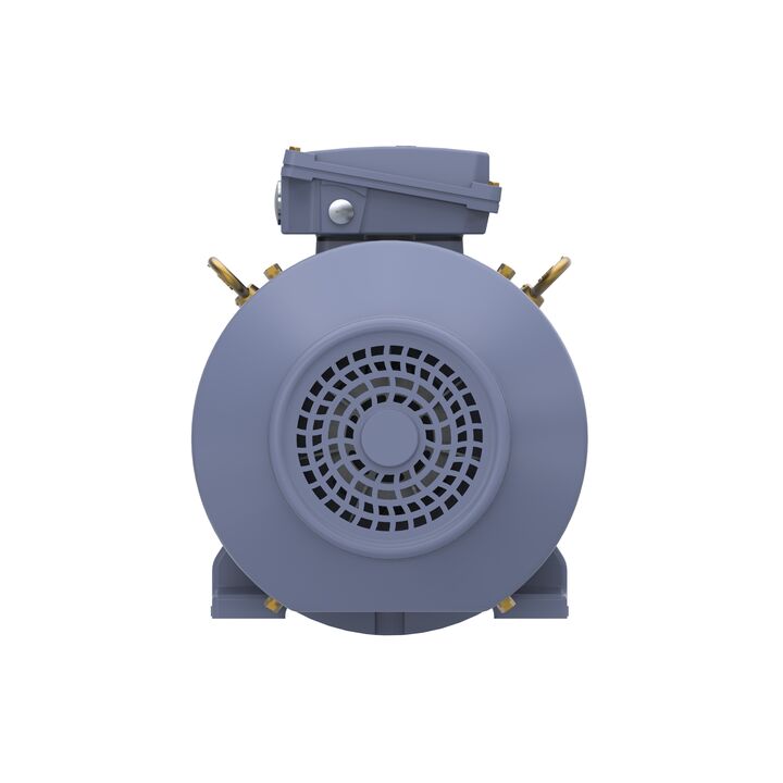 Cast Iron Motor, 15 HP, 3 Ph, 50 Hz, 400 V, 1500 RPM, 160M Frame, TEFC