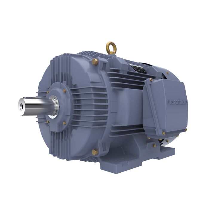 Cast Iron Motor, 100 HP, 3 Ph, 50 Hz, 400 V, 1500 RPM, 280S Frame, TEFC