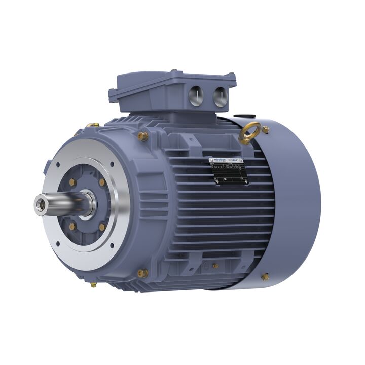 Cast Iron Motor, 15 HP, 3 Ph, 50 Hz, 400 V, 1000 RPM, 160L Frame, TEFC