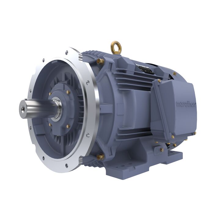 Cast Iron Motor, 100 HP, 3 Ph, 50 Hz, 400 V, 3000 RPM, 280S Frame, TEFC