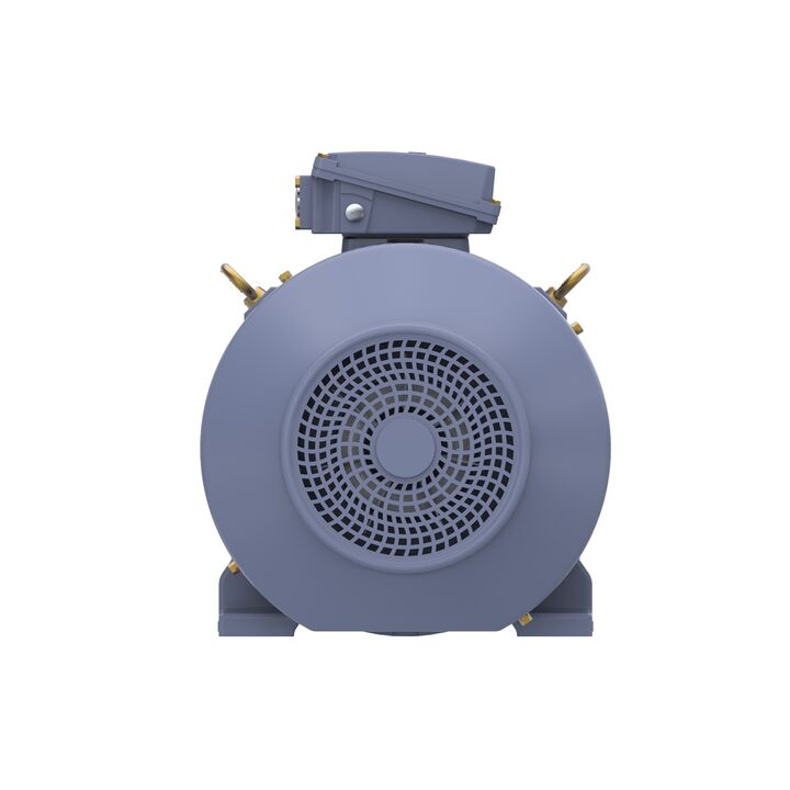 Cast Iron Motor, 60 HP, 3 Ph, 50 Hz, 400 V, 1500 RPM, 225M Frame, TEFC