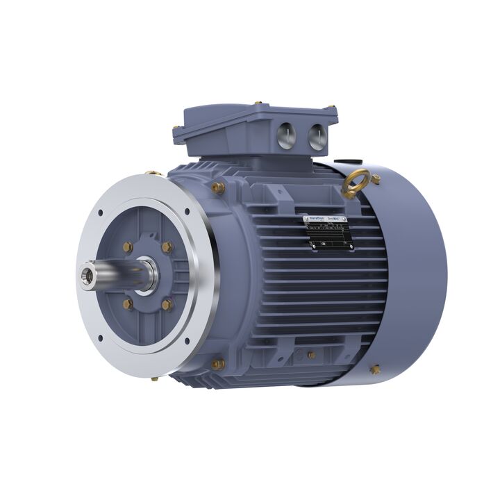 Cast Iron Motor, 15 HP, 3 Ph, 50 Hz, 400 V, 1000 RPM, 160L Frame, TEFC