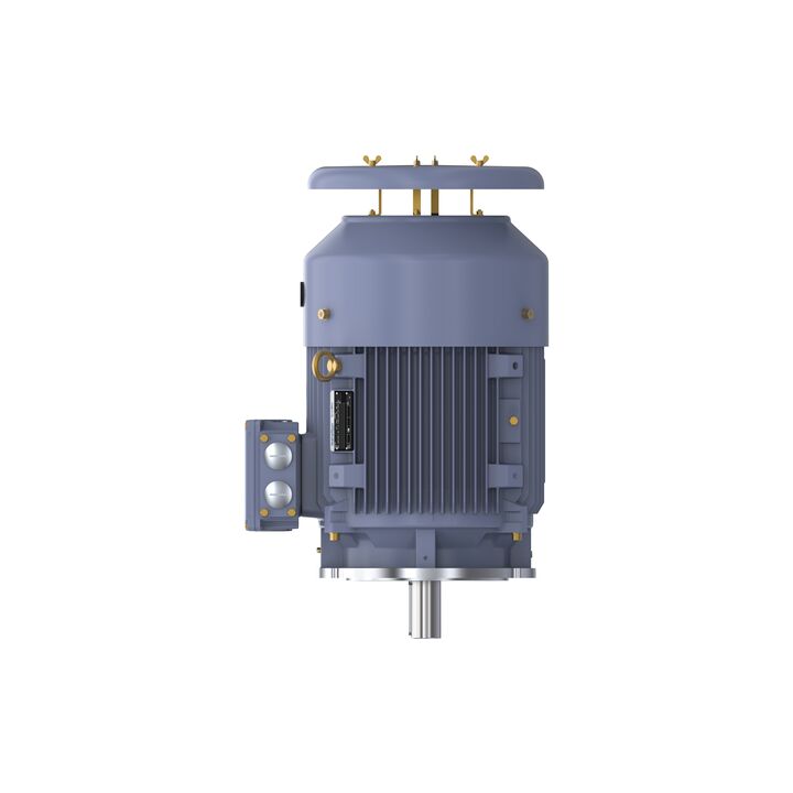 Cast Iron Motor, 25 HP, 3 Ph, 50 Hz, 400 V, 1000 RPM, 200L Frame, TEFC