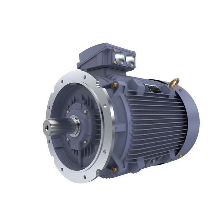 Cast Iron Motor, 100 HP, 3 Ph, 50 Hz, 400 V, 1500 RPM, 280S Frame, TEFC