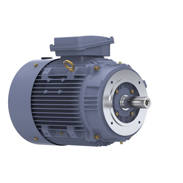 Cast Iron Motor, 25 HP, 3 Ph, 50 Hz, 400 V, 3000 RPM, 160L Frame, TEFC