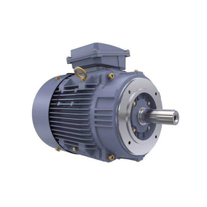 Cast Iron Motor, 15 HP, 3 Ph, 50 Hz, 400 V, 1500 RPM, 160M Frame, TEFC