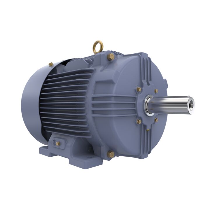 Cast Iron Motor, 15 HP, 3 Ph, 50 Hz, 400 V, 1500 RPM, 160M Frame, TEFC
