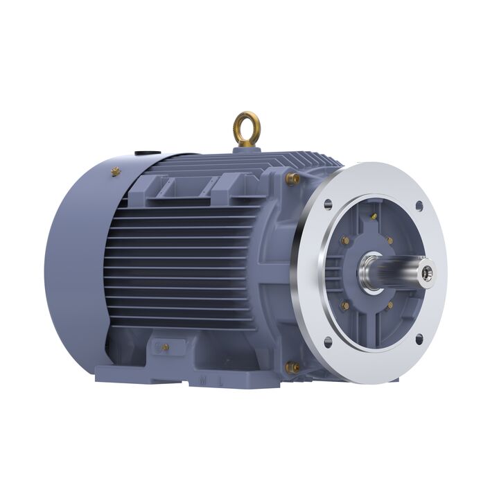 Cast Iron Motor, 15 HP, 3 Ph, 50 Hz, 400 V, 750 RPM, 180L Frame, TEFC