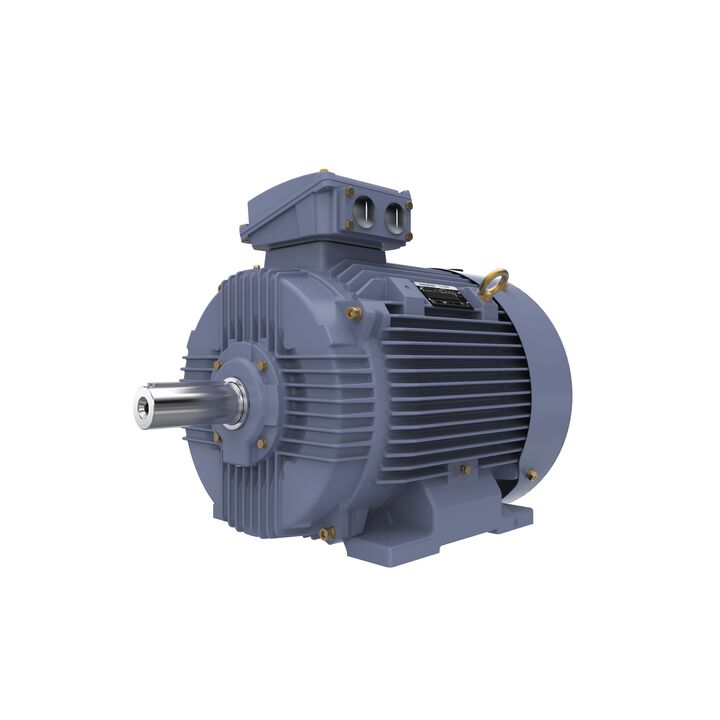 Cast Iron Motor, 25 HP, 3 Ph, 50 Hz, 400 V, 750 RPM, 225S Frame, TEFC