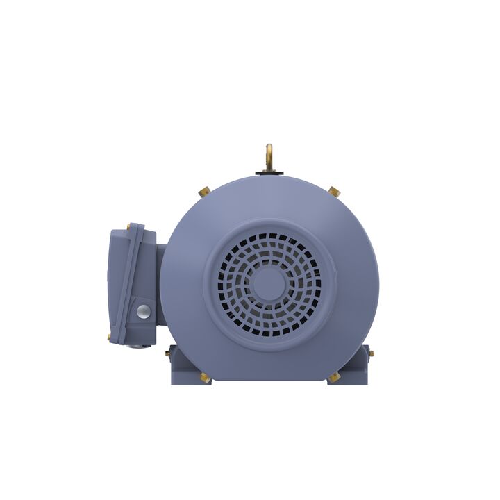 Cast Iron Motor, 15 HP, 3 Ph, 50 Hz, 400 V, 1000 RPM, 160L Frame, TEFC