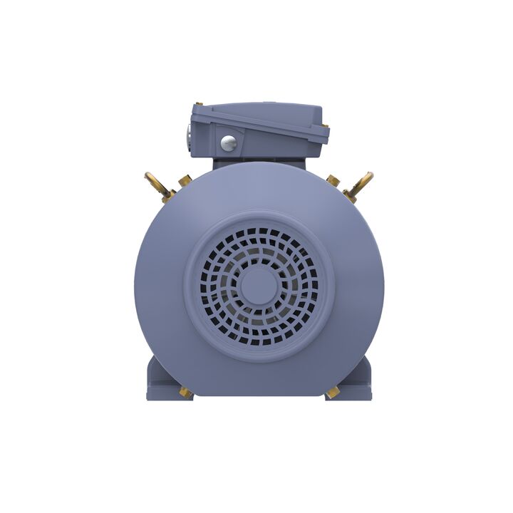 Cast Iron Motor, 15 HP, 3 Ph, 50 Hz, 400 V, 1500 RPM, 160M Frame, TEFC