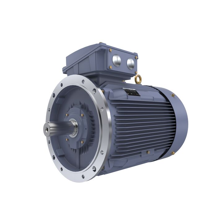 Cast Iron Motor, 150 HP, 3 Ph, 50 Hz, 400 V, 1500 RPM, 315S Frame, TEFC