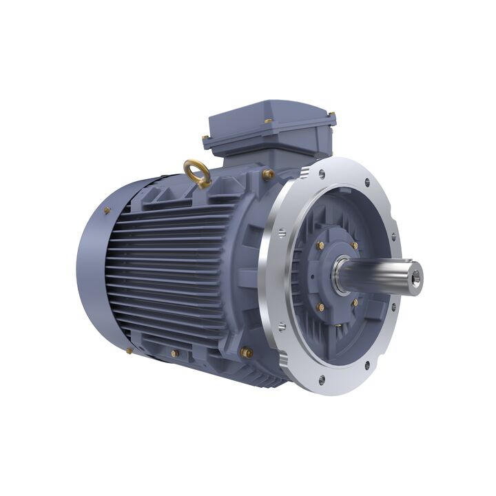 Cast Iron Motor, 40 HP, 3 Ph, 50 Hz, 400 V, 1000 RPM, 225M Frame, TEFC