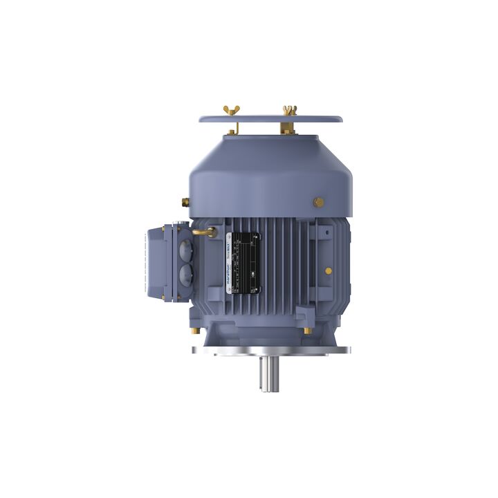 Cast Iron Motor, 3 HP, 3 Ph, 50 Hz, 400 V, 1000 RPM, 112M Frame, TEFC