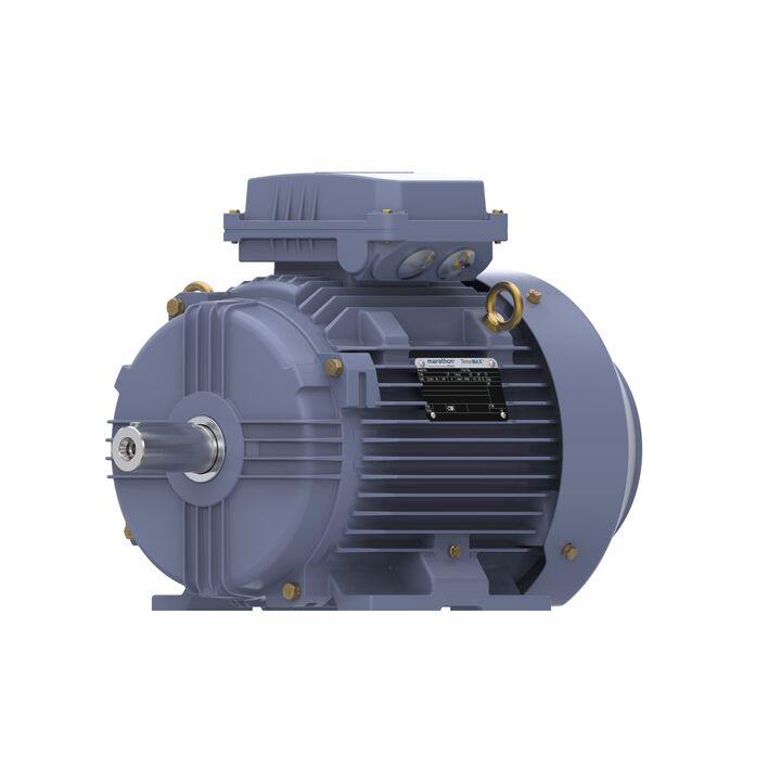 Cast Iron Motor, 10 HP, 3 Ph, 50 Hz, 400 V, 1500 RPM, 132M Frame, TEFC