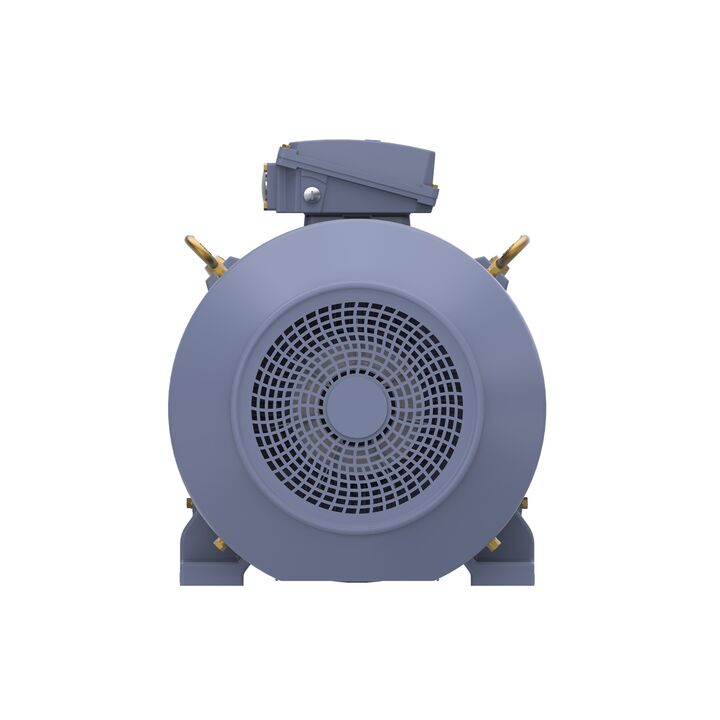 Cast Iron Motor, 75 HP, 3 Ph, 50 Hz, 400 V, 1000 RPM, 280M Frame, TEFC