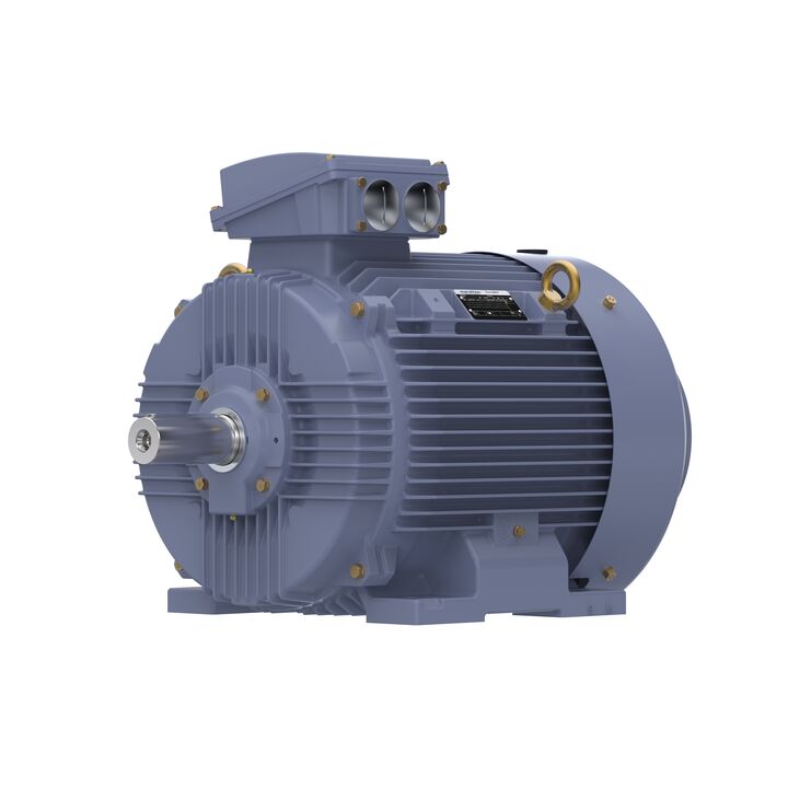 Cast Iron Motor, 75 HP, 3 Ph, 50 Hz, 400 V, 1500 RPM, 250M Frame, TEFC