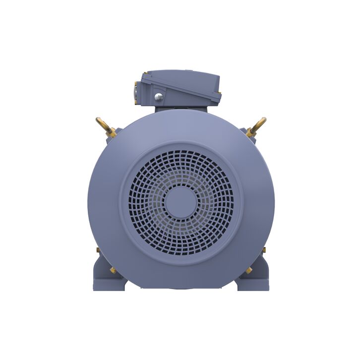 Cast Iron Motor, 100 HP, 3 Ph, 50 Hz, 400 V, 3000 RPM, 280S Frame, TEFC