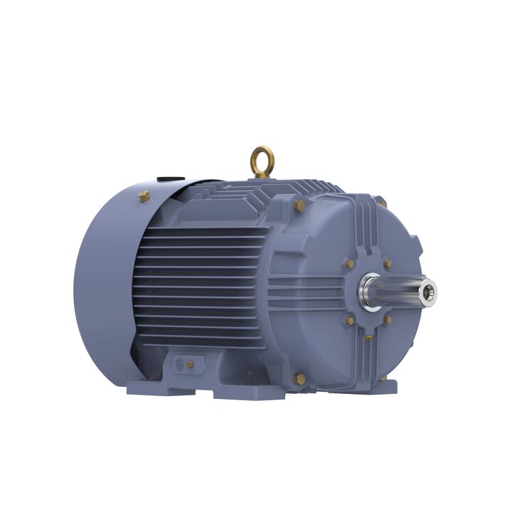 Cast Iron Motor, 15 HP, 3 Ph, 50 Hz, 400 V, 1000 RPM, 160L Frame, TEFC