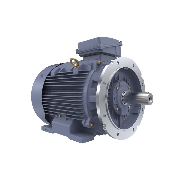 Cast Iron Motor, 60 HP, 3 Ph, 50 Hz, 400 V, 1500 RPM, 225M Frame, TEFC