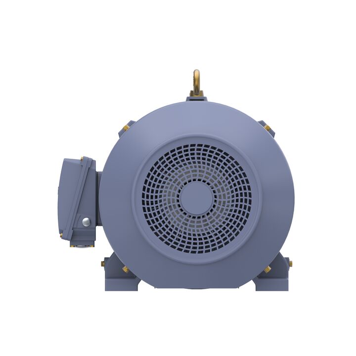 Cast Iron Motor, 100 HP, 3 Ph, 50 Hz, 400 V, 1500 RPM, 280S Frame, TEFC
