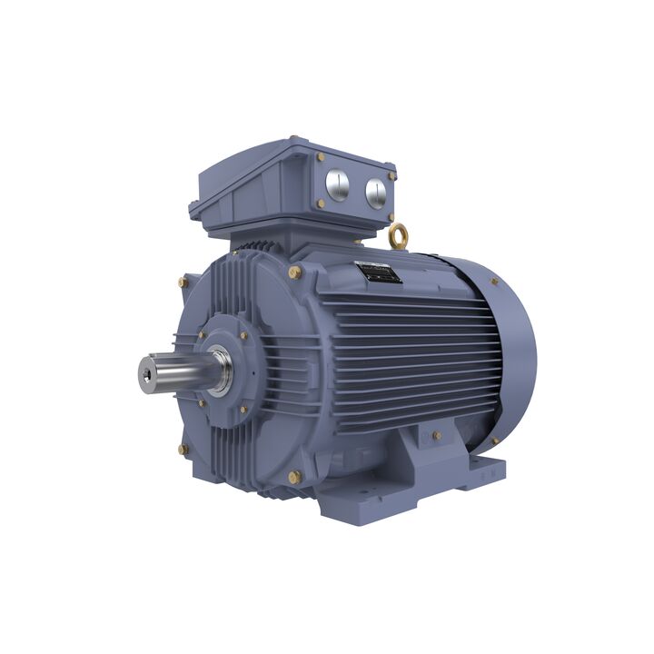 Cast Iron Motor, 150 HP, 3 Ph, 50 Hz, 400 V, 1500 RPM, 315S Frame, TEFC