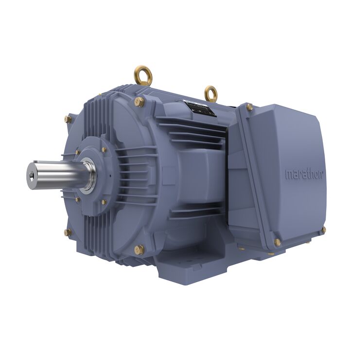 Cast Iron Motor, 75 HP, 3 Ph, 50 Hz, 400 V, 750 RPM, 315S Frame, TEFC