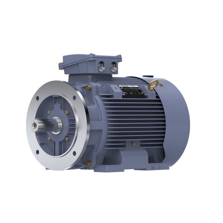 Cast Iron Motor, 15 HP, 3 Ph, 50 Hz, 400 V, 750 RPM, 180L Frame, TEFC