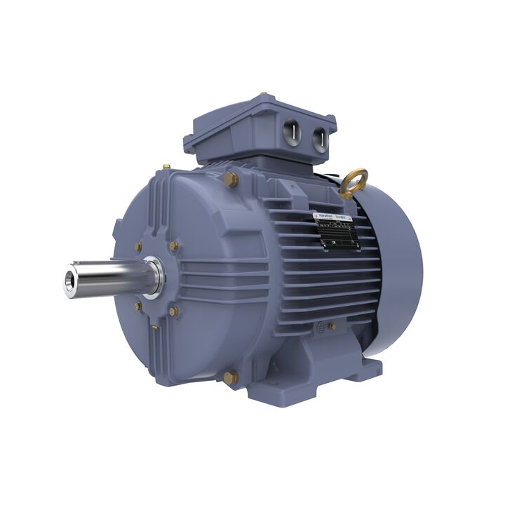 Cast Iron Motor, 15 HP, 3 Ph, 50 Hz, 400 V, 1500 RPM, 160M Frame, TEFC