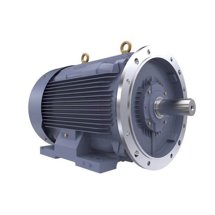 Cast Iron Motor, 175 HP, 3 Ph, 50 Hz, 400 V, 1500 RPM, 315M Frame, TEFC