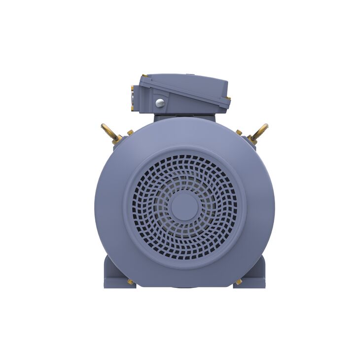 Cast Iron Motor, 25 HP, 3 Ph, 50 Hz, 400 V, 1000 RPM, 200L Frame, TEFC