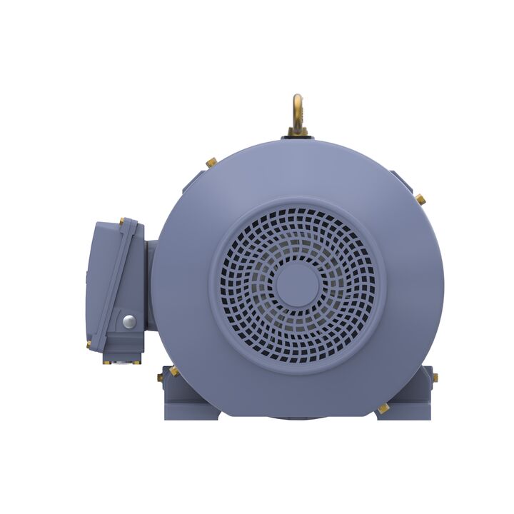 Cast Iron Motor, 40 HP, 3 Ph, 50 Hz, 400 V, 1000 RPM, 225M Frame, TEFC