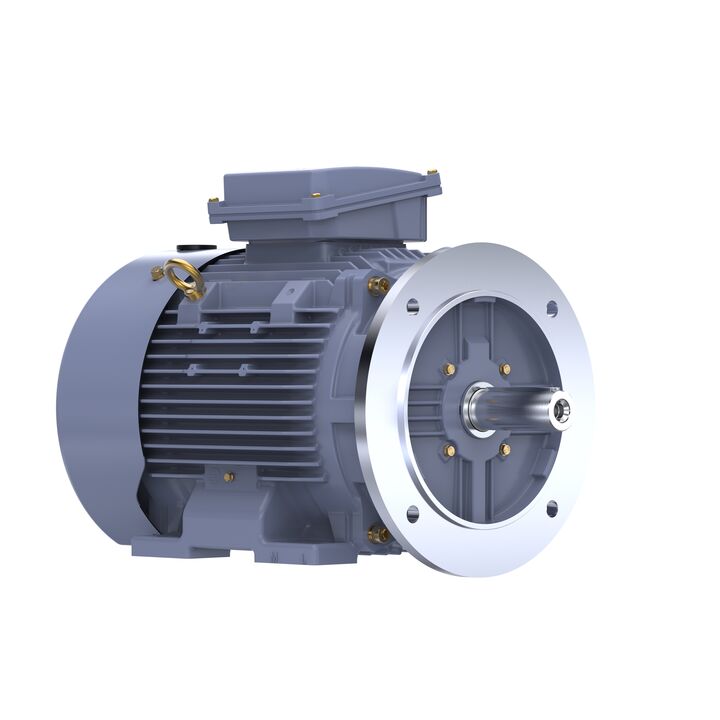 Cast Iron Motor, 15 HP, 3 Ph, 50 Hz, 400 V, 1000 RPM, 160L Frame, TEFC