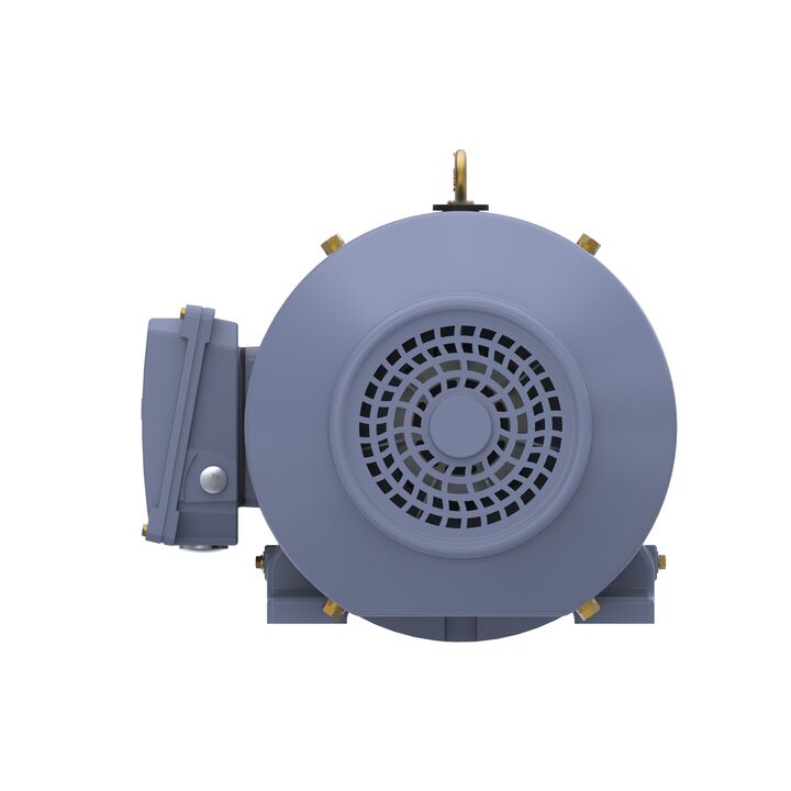 Cast Iron Motor, 15 HP, 3 Ph, 50 Hz, 400 V, 3000 RPM, 160M Frame, TEFC