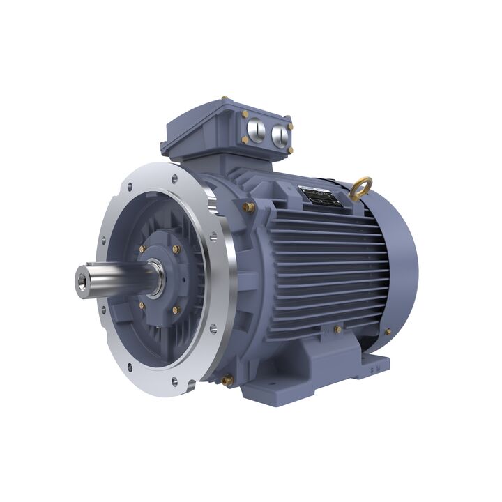 Cast Iron Motor, 60 HP, 3 Ph, 50 Hz, 400 V, 1500 RPM, 225M Frame, TEFC