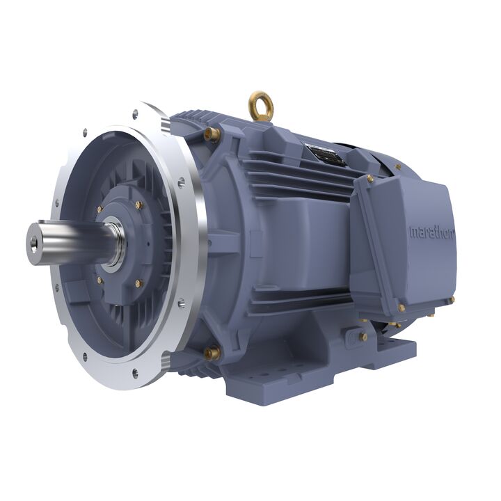 Cast Iron Motor, 60 HP, 3 Ph, 50 Hz, 400 V, 750 RPM, 280M Frame, TEFC
