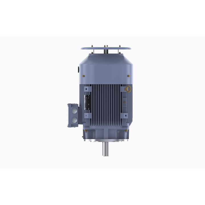 Cast Iron Motor, 15 HP, 3 Ph, 50 Hz, 400 V, 750 RPM, 180L Frame, TEFC