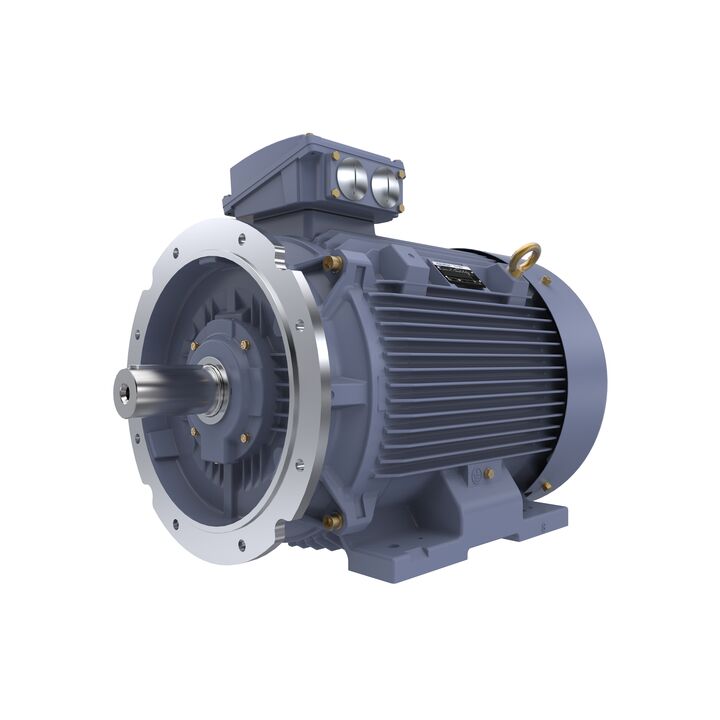 Cast Iron Motor, 100 HP, 3 Ph, 50 Hz, 400 V, 1500 RPM, 280S Frame, TEFC