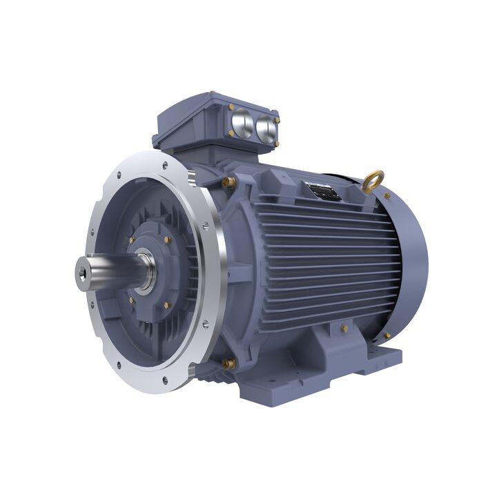 Cast Iron Motor, 75 HP, 3 Ph, 50 Hz, 400 V, 1000 RPM, 280M Frame, TEFC
