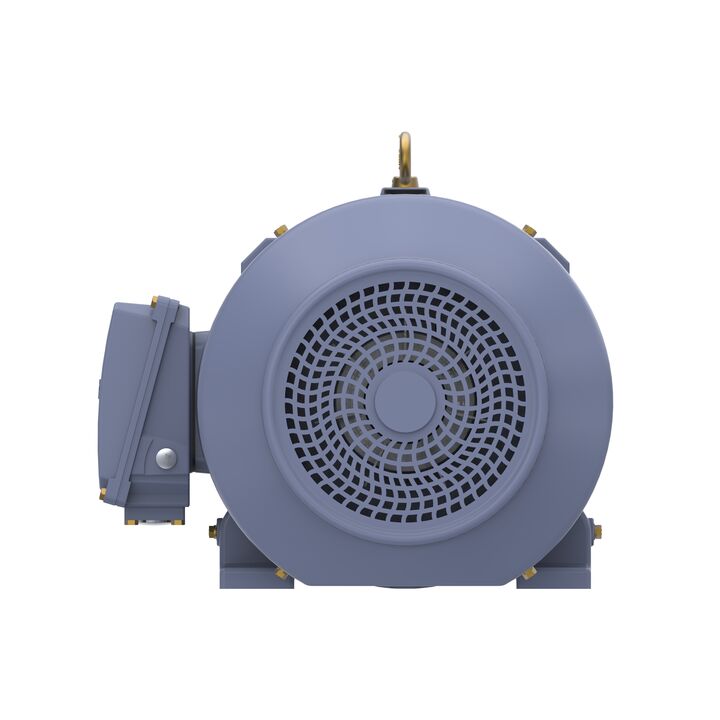 Cast Iron Motor, 40 HP, 3 Ph, 50 Hz, 400 V, 1500 RPM, 200L Frame, TEFC