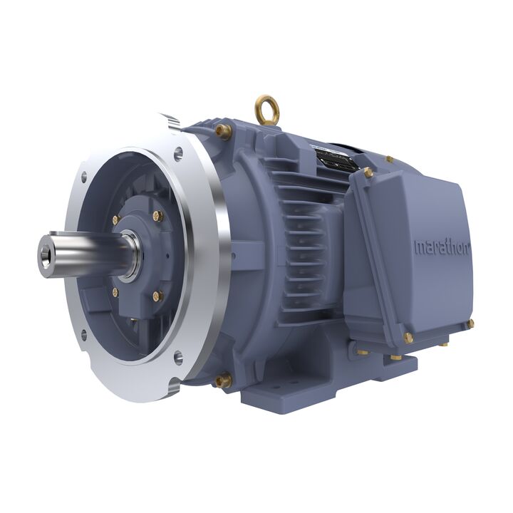 Cast Iron Motor, 40 HP, 3 Ph, 50 Hz, 400 V, 1500 RPM, 200L Frame, TEFC