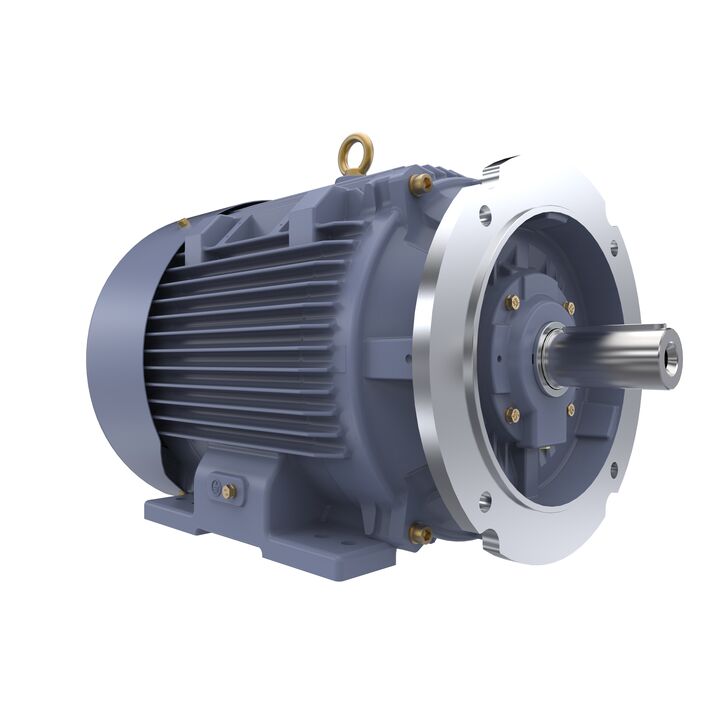 Cast Iron Motor, 40 HP, 3 Ph, 50 Hz, 400 V, 1500 RPM, 200L Frame, TEFC